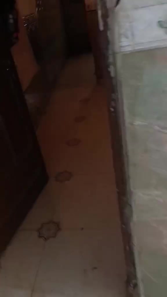 بيت زراعي كرمه بني سعيد الشواوشه على شارع عام مساحته ٣٦٠ بناء غرفتين بلوك ولباقي طابوك ديوانيه وصاله كبار ومطبخ وحمامات خارجيه وساحه مقدمة البيت وكدام البيت ساحه تابعه للبيت ولبيت كامل ويا تانكيات ام الف  اثنين ويا ماطور جديد توة مشتري وكيزر كله شغال جدد ومغسله وسنك كلهن وي البيت البيت سطح  شتايكر ولبيت ستارة داير ماداير ومسيج
السعر 28 وبيه مجال ويرهم اقساط
الاستفسار ***********
بيت زراعي كرمه بني سعيد الشواوشه على شارع عام مساحته ٣٦٠ بناء غرفتين بلوك ولباقي طابوك ديوانيه وصاله كبار ومطبخ وحمامات خارجيه وساحه مقدمة البيت وكدام البيت ساحه تابعه للبيت ولبيت كامل ويا تانكيات ام الف  اثنين ويا ماطور جديد توة مشتري وكيزر كله شغال جدد ومغسله وسنك كلهن وي البيت البيت سطح  شتايكر ولبيت ستارة داير ماداير ومسيج
