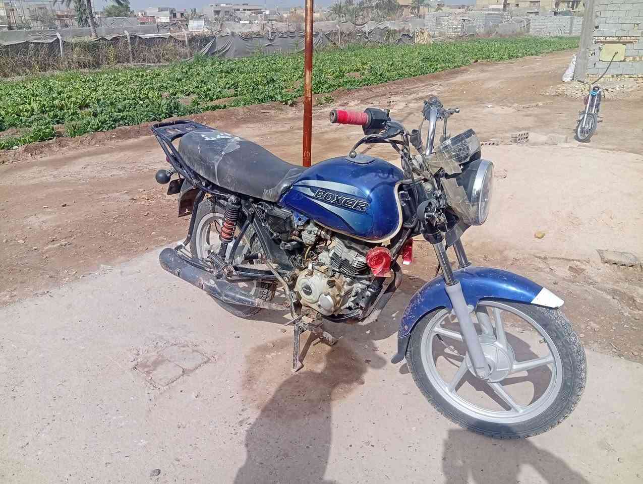 سلام عليكم بوكسر للبيع اوراق موديل 20 مكان حله الشراي ايطب خاص او بي خير اواني خادم


**إذا كنت صاحب هذا الإعلان وتريد حذفه لأي سبب، رجاءا أرسل رسالة إلى الدعم الفني**