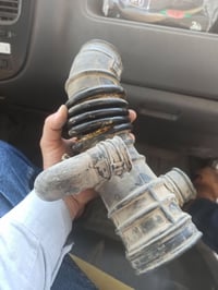 جاين شوت اورفان • ٢٠٠٧ • مطلوب