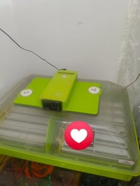 فقاسة جيموكا • ٦٠ بيضة • مستعملة قليلاً