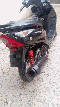 دراجة ثعلب • البلديات بغداد • مجال بسيط