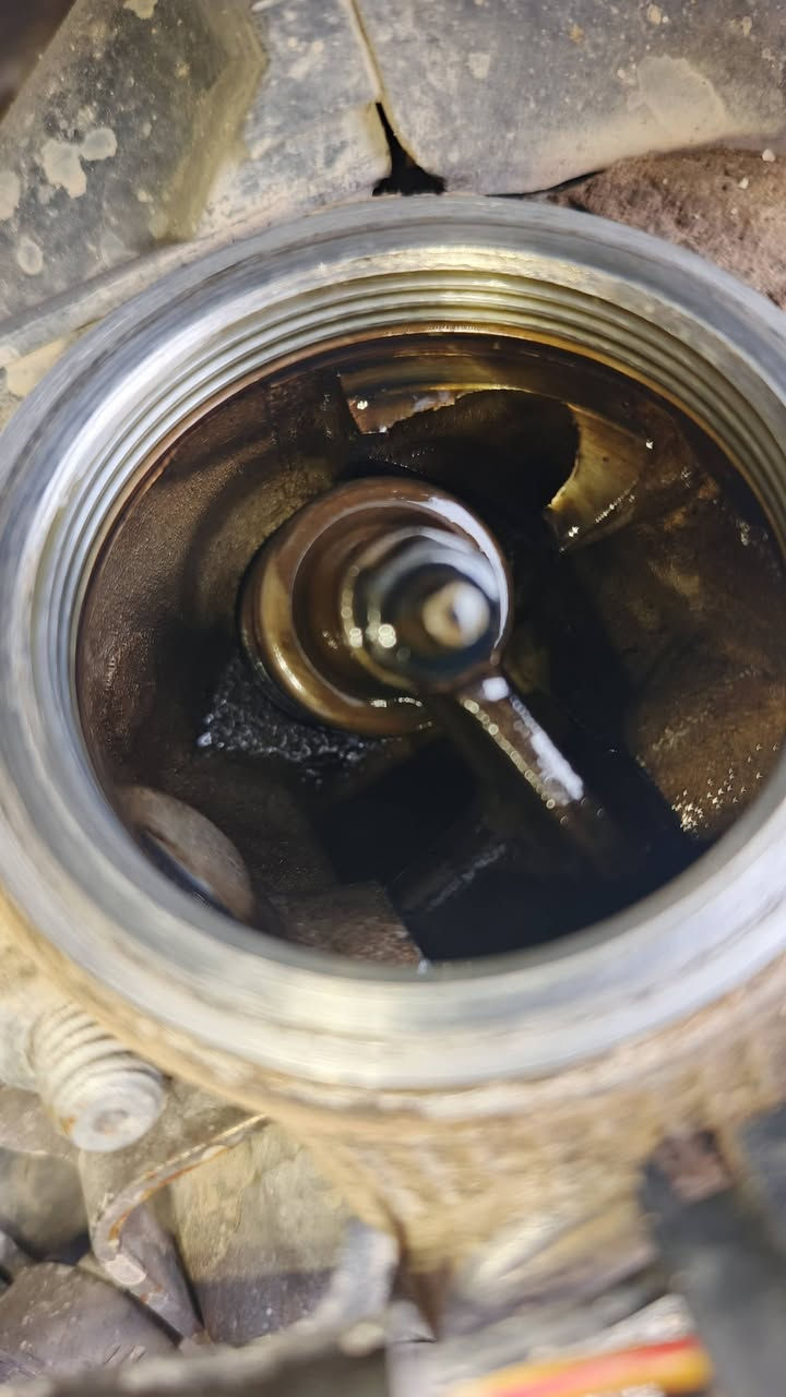 السلام عليكم دراجه فراشه فحل للبيع حاويه رقم ***********
