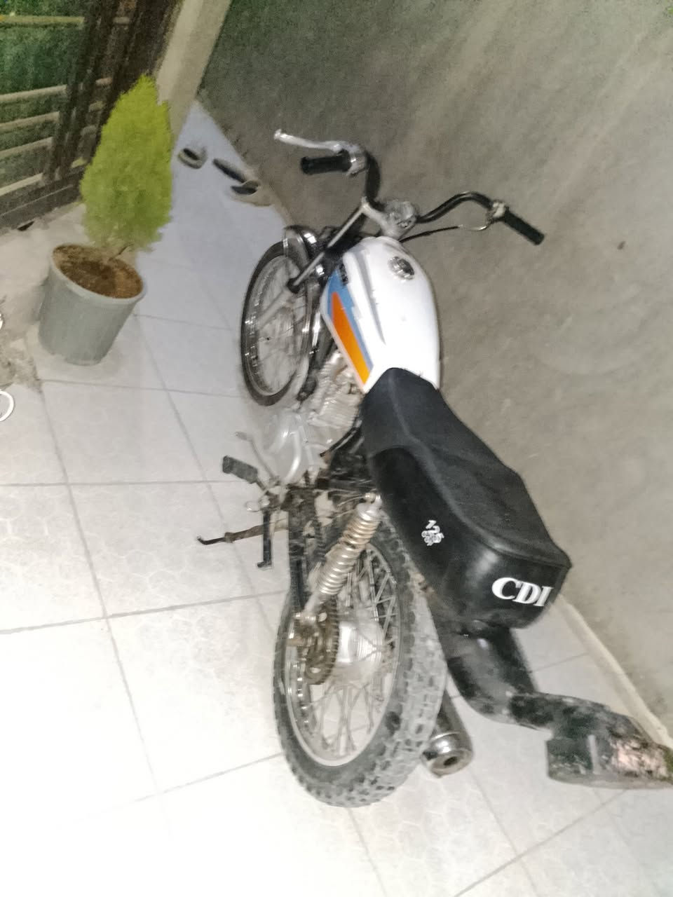 دراجة لبيع ارشا 14 أوراق اصوالي  وكالة نوار الباشه 
500 وبيه مجال بسيط
تواصل ***********
