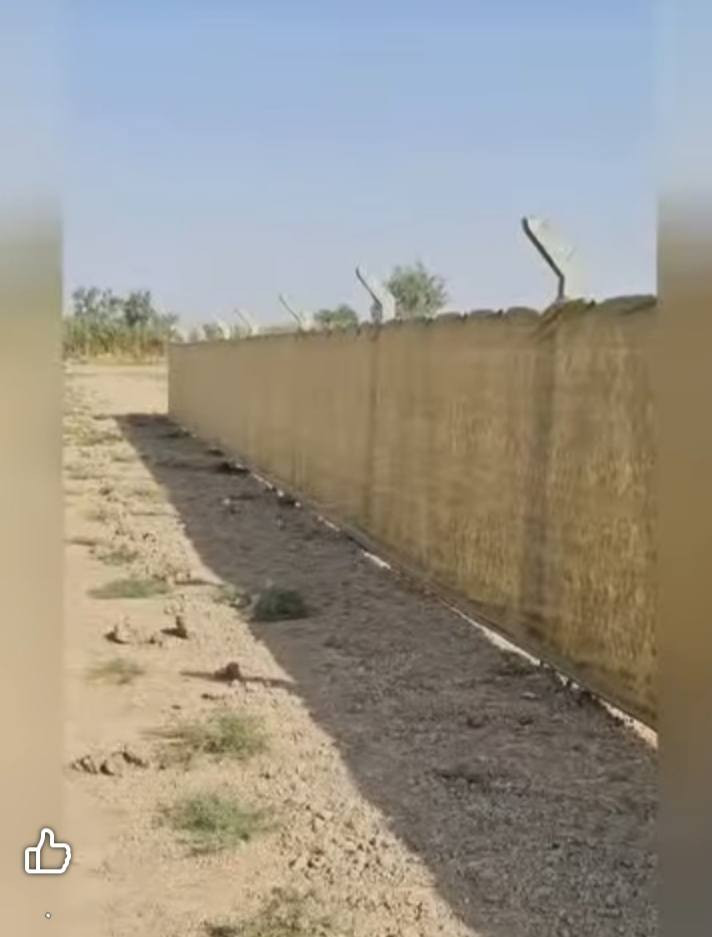 عمل ونصب اسيجة بيارسي بكافة أنواعها نعمل في جميع المحافظات ومستعدين تجهيز كافت دوائر  اتصل ***********.***********
