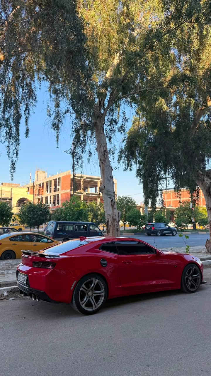 للبيع او المراوس
*اليدور نضيف وجديد
السيارة بجم امامي وخلفي كبس وحته دعاميات بدون صبغ وحجر البيئة البلادي بيها
مكانها ديالى بعقوبة 
السعر ١٣٥
هـ/***********
