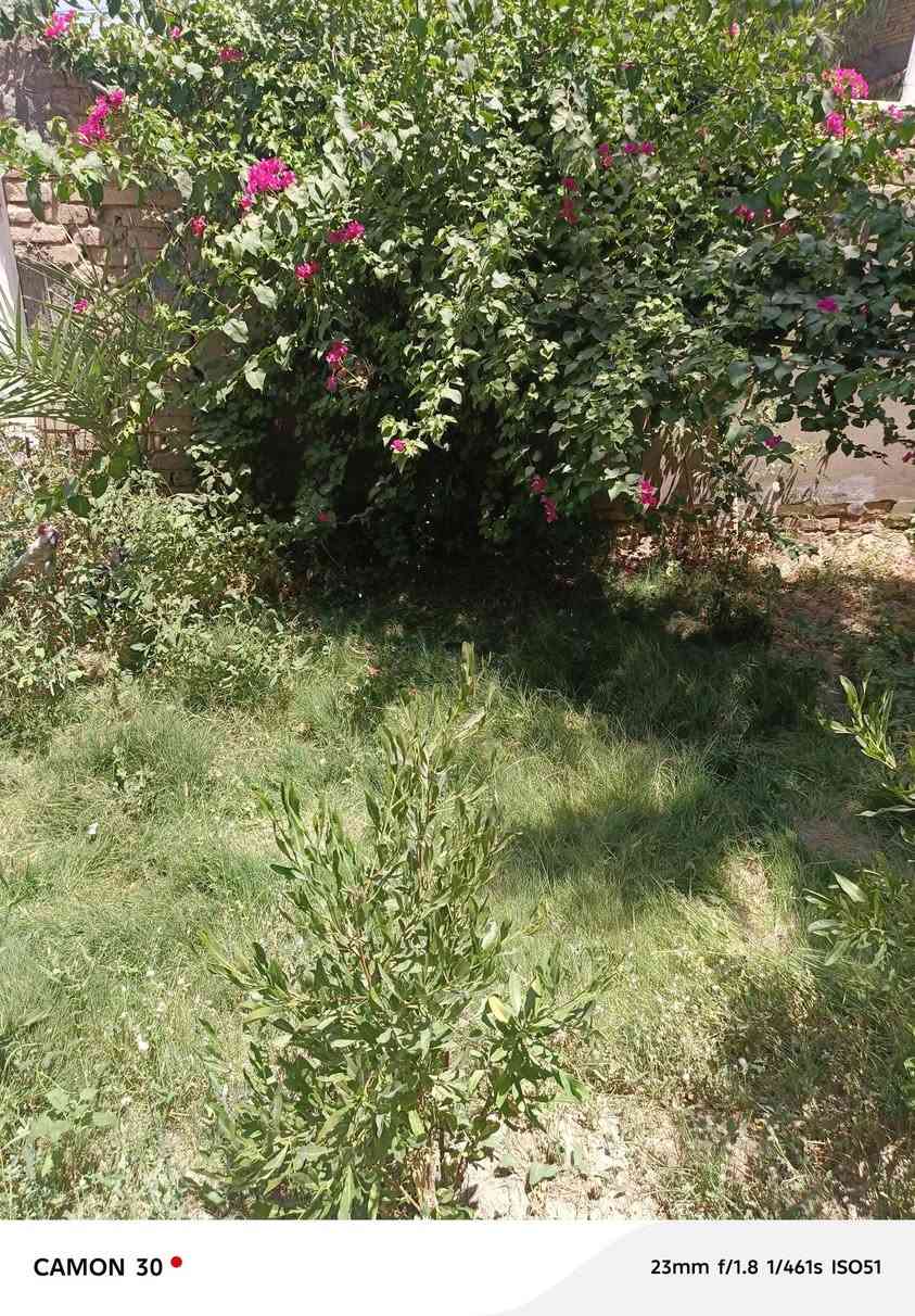 بيت لليجار حي الفرات مقبل كليت الطب قرب متوسطى الاقصى  قريب على المستوصف مدارس ابتدائيه ومتوسطه يتكون غرفه وبراني ومطبخ وكندور وكراج وحديقه وبي ترك 80متر  المساحه 200متر المنطقه كامله من كلشي السعر 350 الف شامل ماء وكهرباء  للستفسار اكثر ***********
