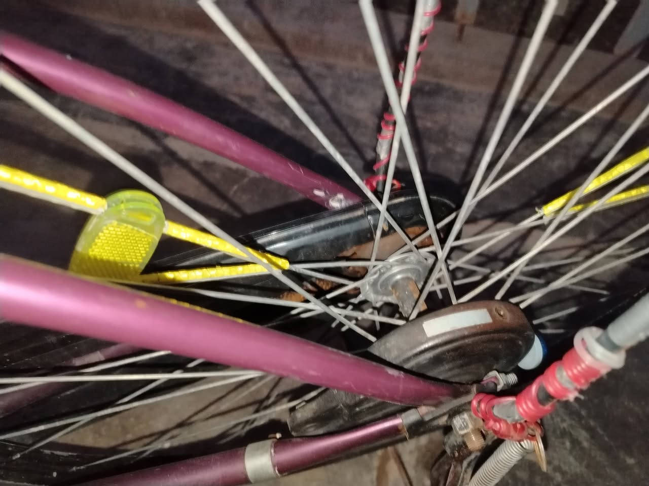 باسكل بناتي حجم 26 الباسكل كامل السعر 70 وبي مجال العنوان بغداد الشعب نايت شارع 40 بشار الجمعي


**إذا كنت صاحب هذا الإعلان وتريد حذفه لأي سبب، رجاءا أرسل رسالة إلى الدعم الفني**