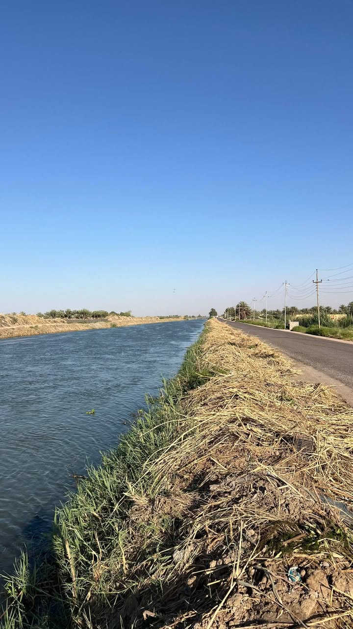 سلام عليكم مزرعه للبيع طابو سند 25 
ديوانية ،دغاره 
مساحت المزرعه 12 دونم ونص 
خدمات كامله ماء+تبلط+ كهرباء ثري فيز المزرعه مقابيل الشط 
واجهيت المزرعه 103 متر 
المزرعه على طريق زوار الامام الحسين 
يمكن بناء محلات ول ستفاده من واجهيت المزرعه لان على شارع 
محتويت المزرعه بيت مبني ب 2021
عدد العرف 3 وحده من لغرف سويت 
مساحت لغرف 4×6
صاله طولها 9 متر وعرضها 4 ونص 
ستقبل ومطبخ مساحتهن 4×6
مزرعه عنب وتين لشجار مثمره عدد لكلي من 400 الى 450 سجره بين عنب وتين 
ومزروعه نخيل جديد الوان هم يتراوح بين 20 الى 25 نخله وبيها نخل زاهيد عدد 30
وبيها نبك مطعم هم منتج عددهن 13

رقم صاحب المزرعة 
***********
