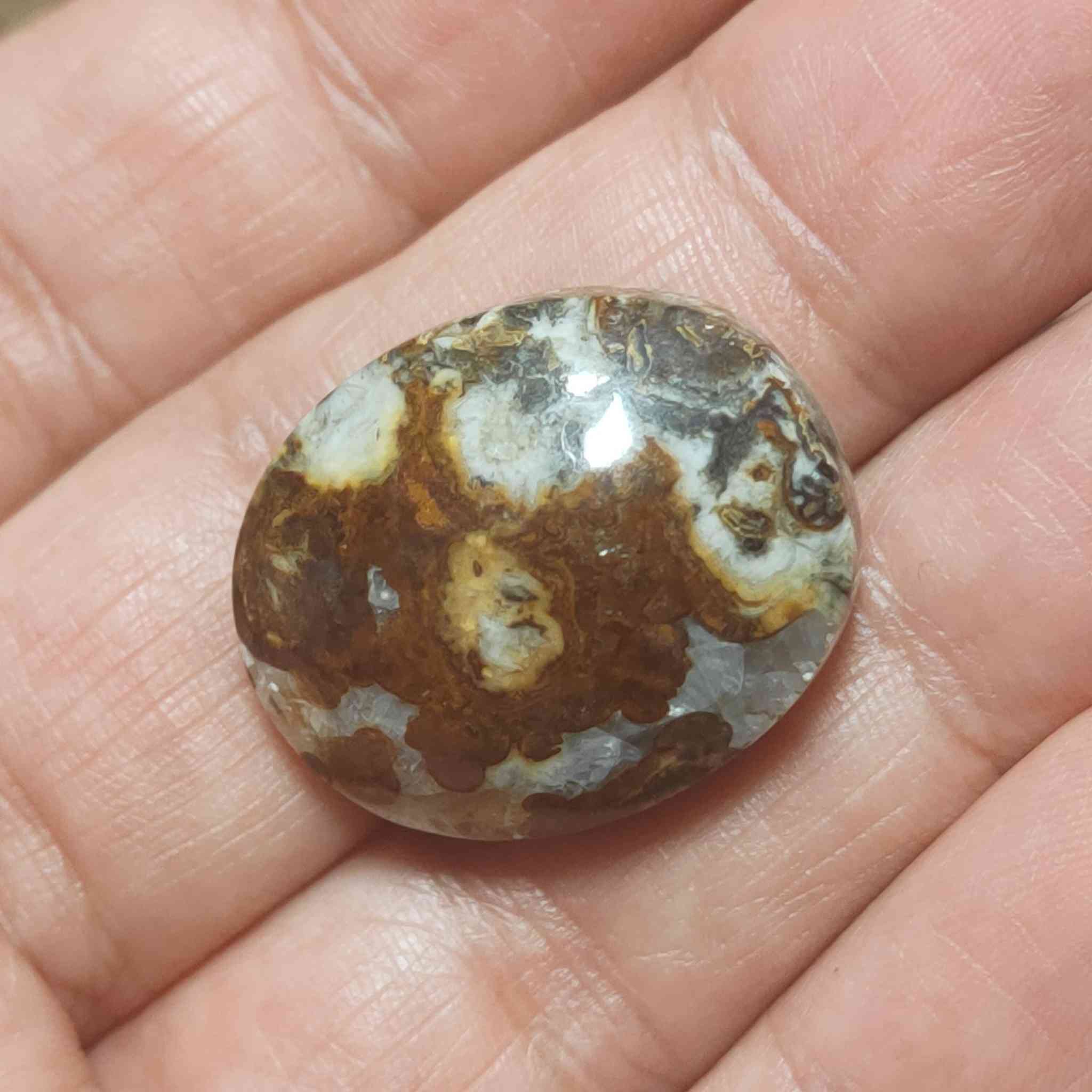 مجموعه فصوص داودي يماني 
يوجد توصيل الحجز خاص


**إذا كنت صاحب هذا الإعلان وتريد حذفه لأي سبب، رجاءا أرسل رسالة إلى الدعم الفني**