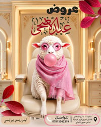 النجف • تجميل • اقساط