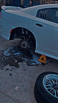 تخم ويل.كب 2سايز حجم 18 اسمة ويلد موديل 26 استخدام سبوعين جديد كلش. ال...