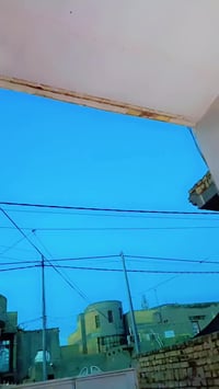 فراشة • معدل • كهربايات