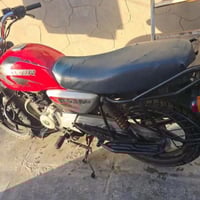 بوكسر • جبلي • ٢٠٢٠