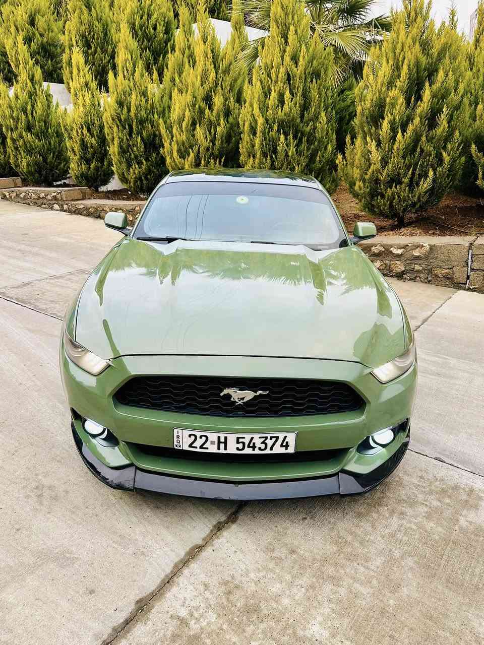 Mustang 2016 v6 
سعر بلاش 128$ مجال بصيط 
گير محرك اكسل مكفولات
ايرباك بس سوكان 

صدر امامي خلفي جديد مبدلات
كهربائيات شرط
الاظافات
لحيه سيرفني 
جنح جيتي 
ادامه كامله دهن محرك جديد
بلاكات جديد 
فيتبمب جديد 
ماكو لا كلوب على دشبول
رقم سنويه جديد 
مكان سياره دهوك
*********** 
سياره بدون اي نقص
