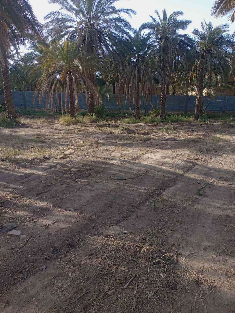 السلام عليكم 
قطعه ارض للبيع مساحه 1200
قرب حي الحسين بدايه شارع العبيد 
للاستفسار :***********
