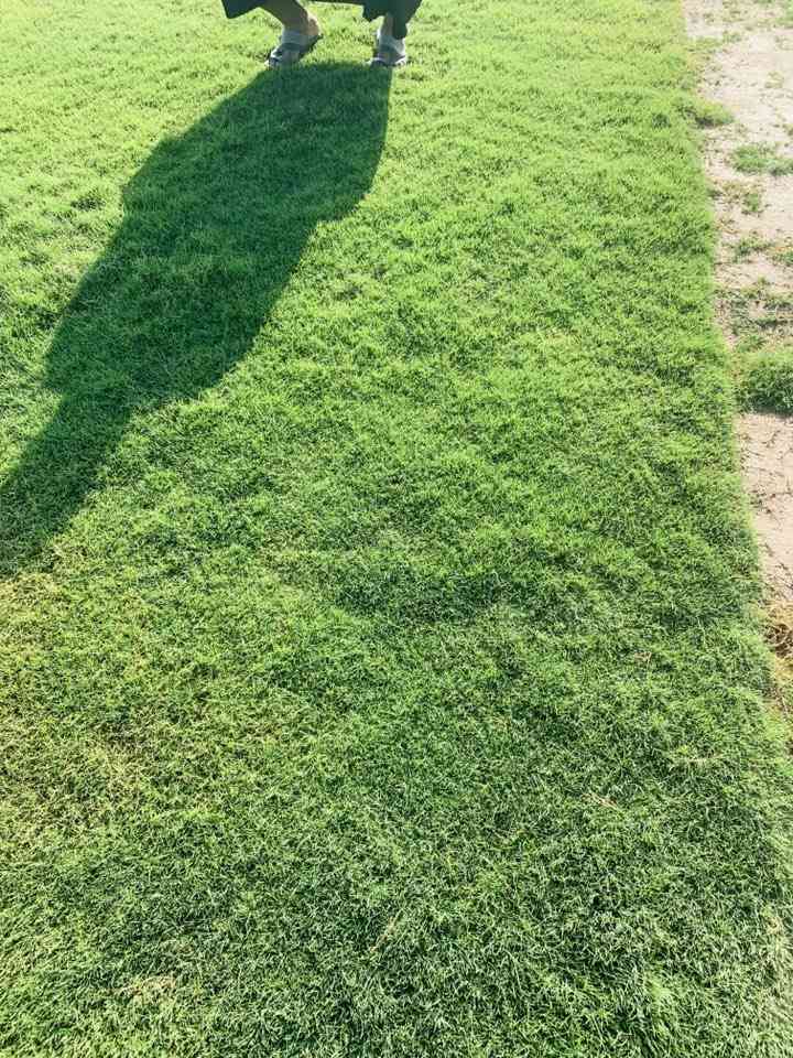 باسعار ثيل ديالى الطبيعي 🏡
أهلاً بكم في مجموعه مزارع ديالى لثيل الهندي الطبيعي 🌿🌱
 نقدم لكم افضل انوع الثيل الطبيعي عالي الجوده يتحمل كافه الضروف البيئية.🌦️🌞
دائم الخضرة🌿🌳 وباسعار تنافسيه وعروض مميزة ☘️❤️
#مستعدون لتجهيز وفرش الحدائق🏡 ودوائر الدولة🏡والمنازل🏡🏡
و تجهيز الملاعب🏟️ والمنتزهات بانسب الاسعار مع ضمان الجودة العالية في العمل👷👷

مع خدمة التوصيل خلال24ساعه🚛🚛  
الاسعار 💵💸 تختلف حسب الكمية 
للاستفسار الاتصال على : 
او التواصل مع الصفحه عن طريق ارسال رسالة على الوتساب او الاتصال📞‏***********
