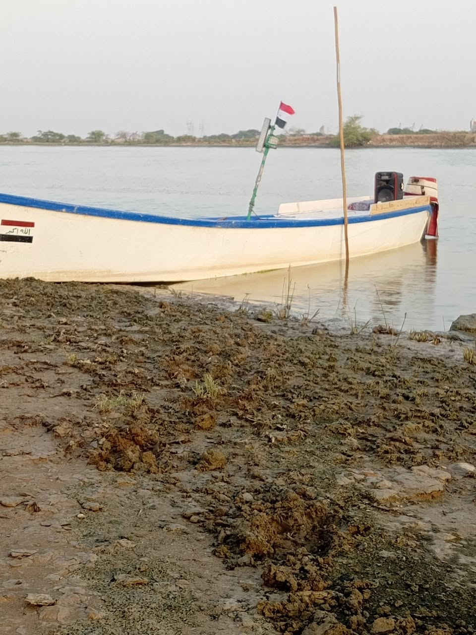 شينكو للبيع فايبر الطول 14 ذراع سعر على الواتساب ***********
