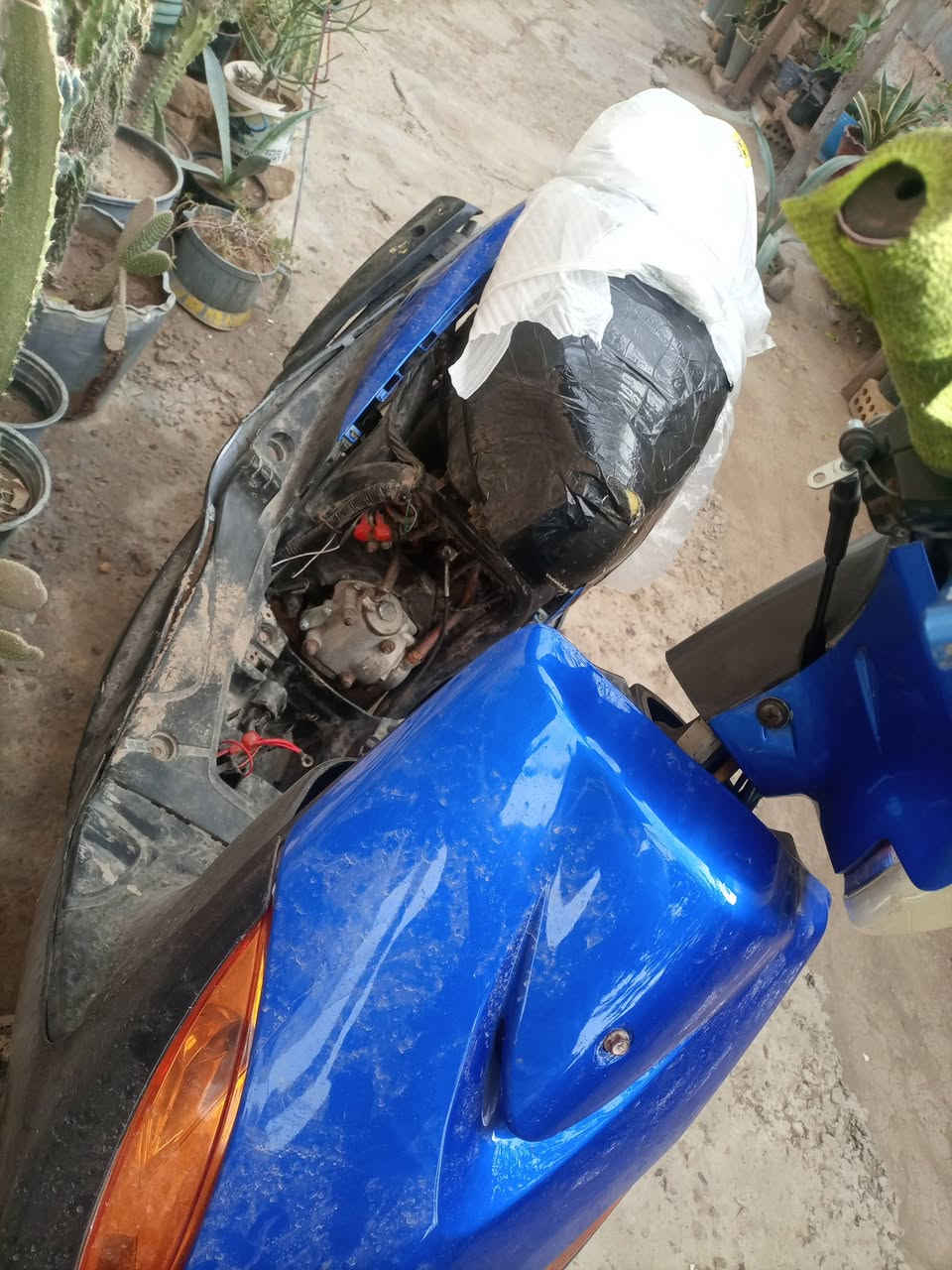 دراجه ماكس عدله للبيع السعر400دراجه تشتغل سلف وخير من الله الشراي يجي خاص


**إذا كنت صاحب هذا الإعلان وتريد حذفه لأي سبب، رجاءا أرسل رسالة إلى الدعم الفني**