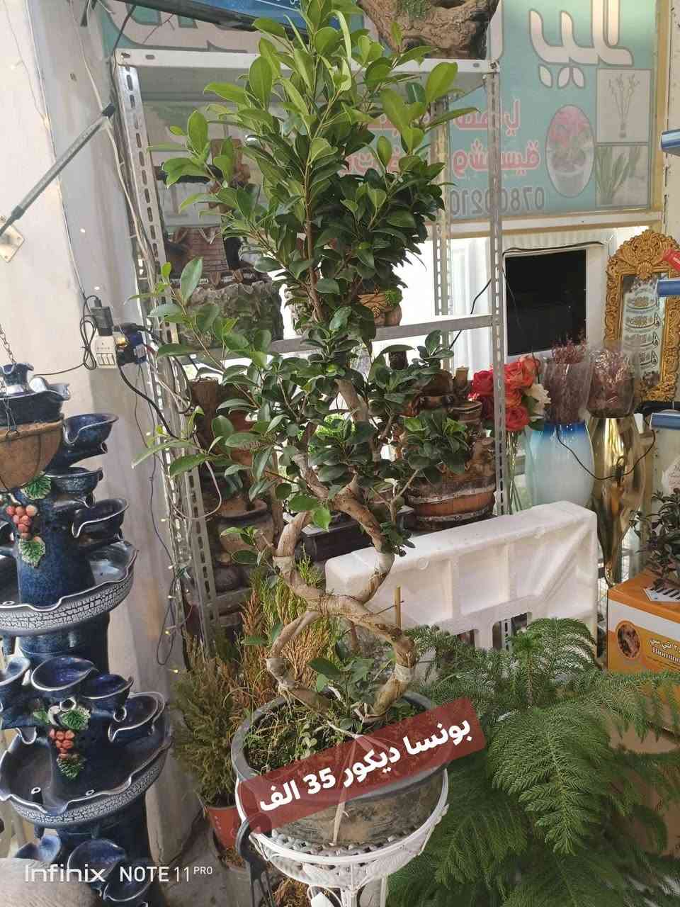 الانبار الرمادي العزيزية مكان الجديد...من جهة شارع العام  شارع ميسلون خلف مجمع برج المسك اول فرع على اليمين *********** ... يوجد توصيل داخل الرمادي...
