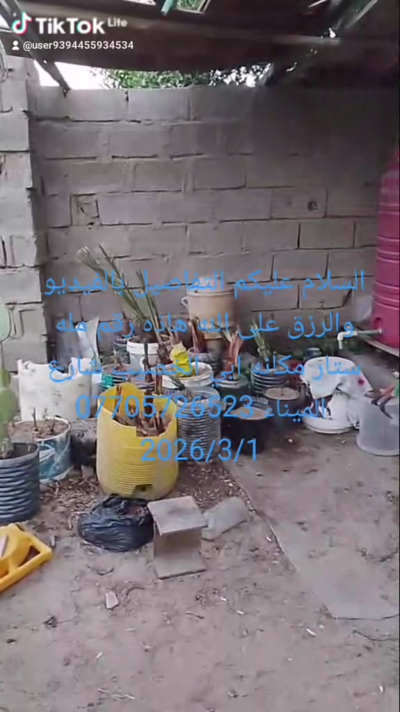 السلام عليكم التفاصيل بالفيديو والرزق على الله هاذه رقم مله ستار مكانه ابي الخصيب شارع الميناء ***********
أدمن مجموعات أبو مهره الربيعي للبيع والشراء والاعلانات
