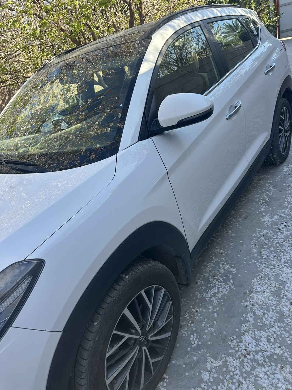 20 مكفوله سعر 215


**إذا كنت صاحب هذا الإعلان وتريد حذفه لأي سبب، رجاءا أرسل رسالة إلى الدعم الفني**