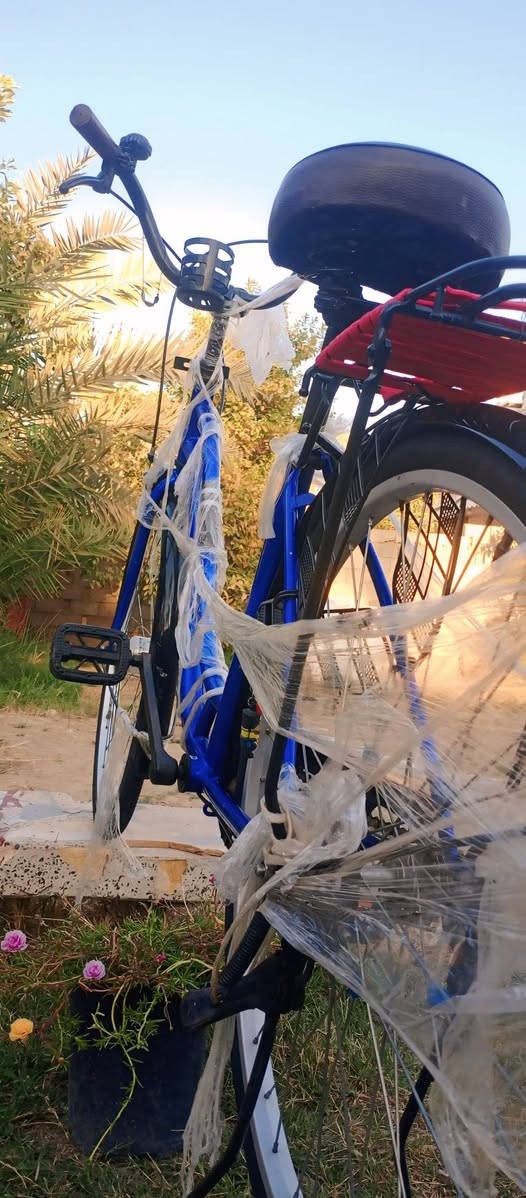 سلام عليكم باسكل للبيع ياباني جديد مامستخدم الون 💙 حجم 26 السعر 125 وبي مجال للطيبين مستعجل على بيعه التواصل على هذه الرقم *********** متواجد واتساب
