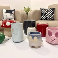 سنادين نباتات • ألوان مختلفة • توصيل