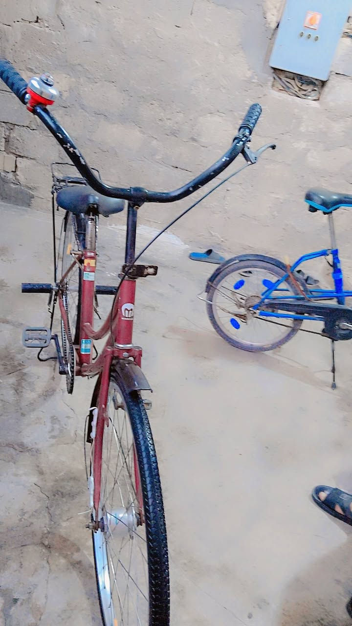 للبيع السعر خاص


**إذا كنت صاحب هذا الإعلان وتريد حذفه لأي سبب، رجاءا أرسل رسالة إلى الدعم الفني**