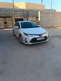 كورلا • ٢٠٢٣ • البصرة