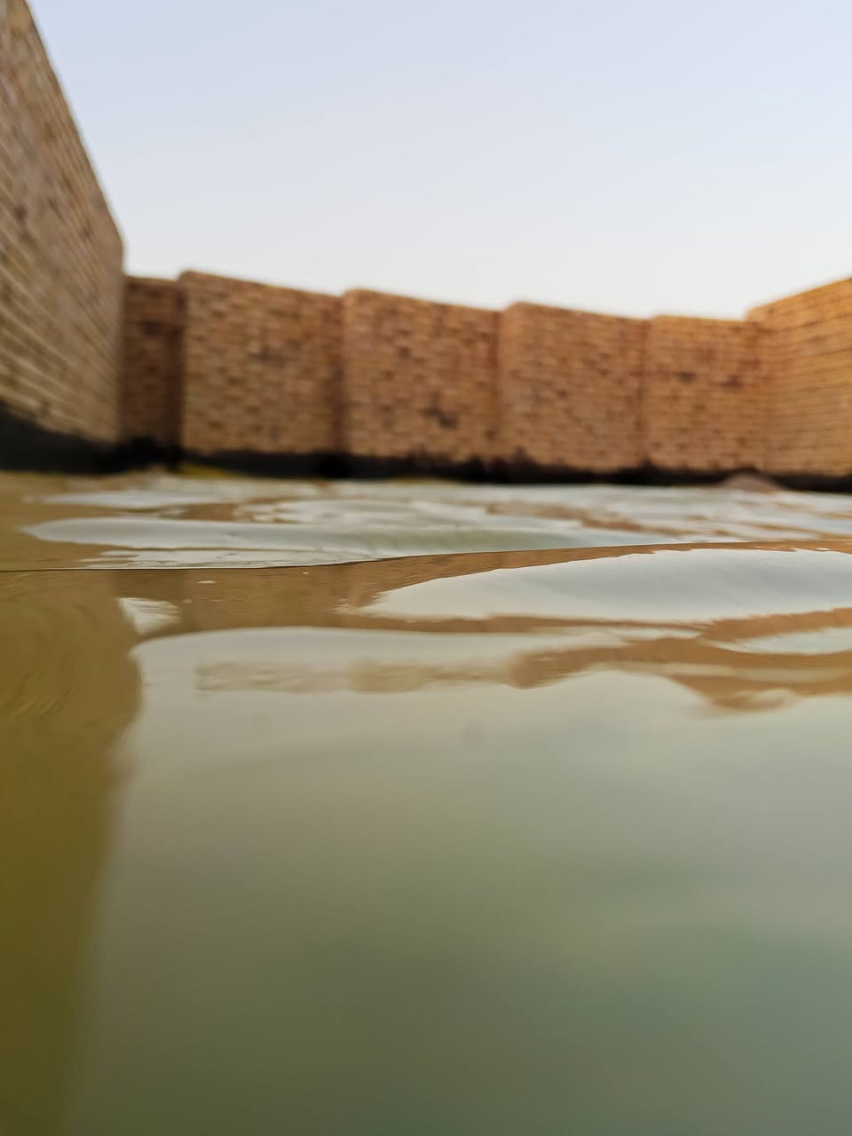 ونج تصعيد لكافت مواد البناء مع قلع شتايكر
تنضيف سطوح تزفيت... تسليط تراب
اتصال عله الرقم ***********
يوجد واتساب أو مراسلت حساب
مكان ناصريه__غراف__شطره
