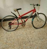 07817775011