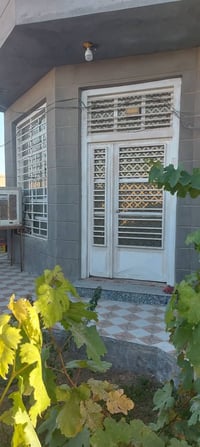 طابو زراعي • 300م • طريق الديوانية دغارة