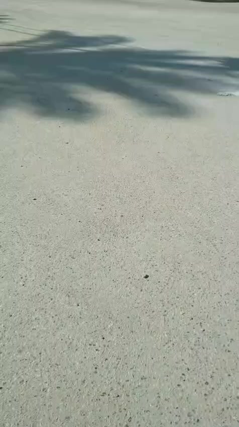 قطعه ارض في كربلاء حي العباس السايدين  مساحة 100متر واجهيتها 5ونص ونزال 19ونص طابو زراعي سند 25اقرار محكمه  مدخلها من عمود 25طريق بغداد علما ان القطعه الوحيده مامبنيه كافه الخدمات متوفره تبليط للباب ماء كهرباء سعرها 66وبيها مجال ان شاء الله عرض الشارع 8متر للأستفسار الأتصال على الرقم ***********
