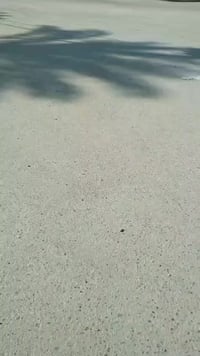 كربلاء حي العباس • ١٠٠م • طابو زراعي