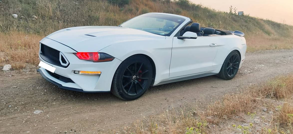 موستانگ 2018 فول مواسەفات مکینە چوار پستن ئیکو بوس سقف کشف  کوشینەکان جلد و کارەبای ساردو گەرم بەسمە شغال شاشە گەورە گێر لەسوکان زۆر مواسەفاتی تریش مەگینە گێر هەموو بەشەرت یەک گلۆپ لەدەشبولی پێ نیە سیارەکە خاوینە چوار تایەی نوێ بێ مەسروف نمونە لەجوانی سێ شوێنی زۆر بچوکی کارت و سبوغە 142  ورەقەیە  نرخی   ***********  فرۆشتن و گۆرینەوە.......   1FATP8UH6J5111220 أربيل, العراق
