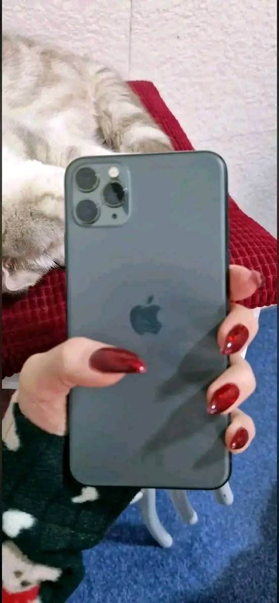 11برو ماكس
ذاكره 256
بطاريه 84 
بلادي  
سعر قفل بدون عمله 190 محتاجه ضروري على بيعته


**إذا كنت صاحب هذا الإعلان وتريد حذفه لأي سبب، رجاءا أرسل رسالة إلى الدعم الفني**