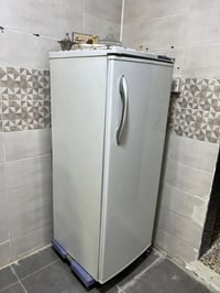 ثلاجه • مستخدمه • موقع مو واضح