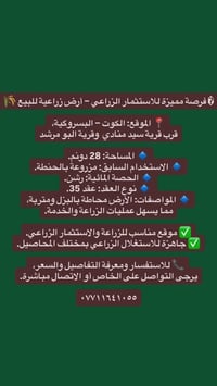 ارض زراعية • الكوت • البسروكية