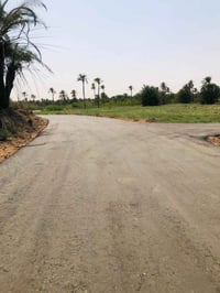 الكوفة السياحي • طابو زراعي • سند 25