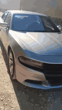 شارجر SXT • ٢٠١٧ • رقم أربيل دولي