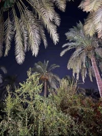 حله برنون • ١٢٠٠م • طابو زراعي