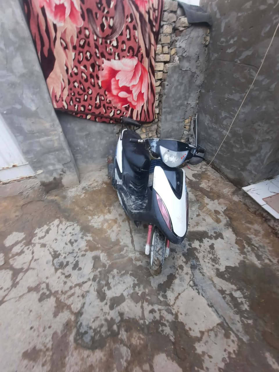 سلام عليكم ماكس عدله ب٣٠٠ وبيه مجال ***********
