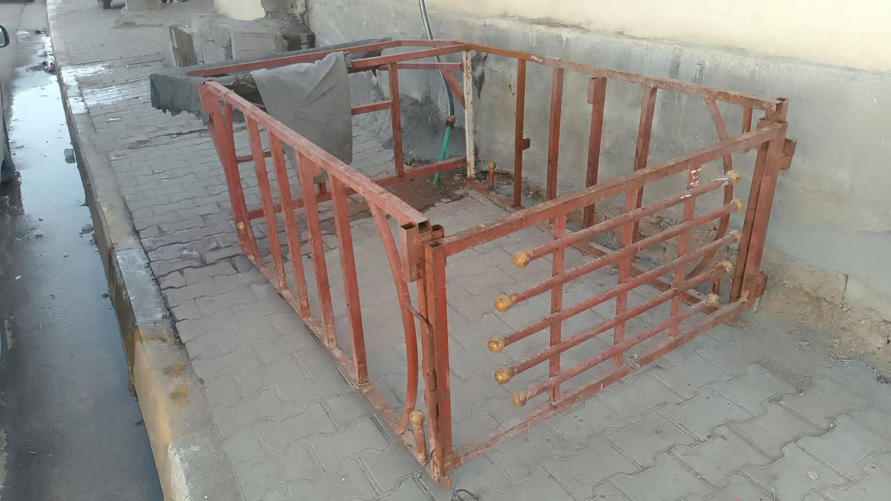 شباب محجل للبيع سعر 60 مكاني رمادي رقم لهاتف ***********
