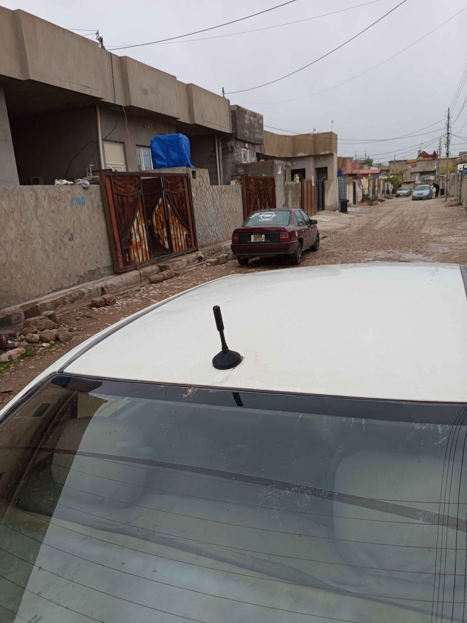 جیلێ بو فروشتن 2013 بێ سبخ بی دەعم هەموووێ گیانی بەشەرتە رەقەم بغداد تەبی سەنوی اصلی  دێ سارد گەرم لە دەعمی بووو دەعمی بە شەرت گیر مەکینە بە شەرتی 10 فیتەر نرخیش 25گەلا مجال بو زنیاری زیاتریش پەیوندی بە رەقەم موبایل بکەن *********** Honolulu, HI
