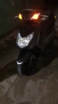 سكنس فحل • سكنس نثيه • بغداد الشعب