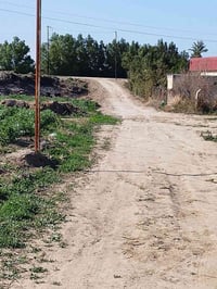 العزيزيه الدير • ارض زراعيه • سند 25