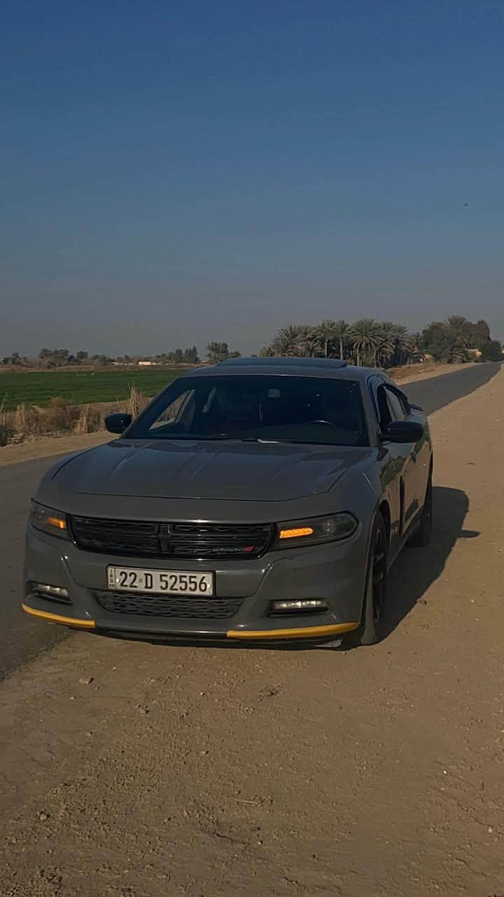مكلف بالنشر
السلام عليكم 

للبيع جارجر SXT PLUS
2018 وارد كندي
المواصفات
فتحه
كشنات حضن كنتارا
هيتر بالمري
حساسات اماميه
 حساسات خلفيه 
رادارات جانبيه
 كشنات تدفئه تبريد
ستيرن تدفئه
شاشه كبيره
خزن ميموري
ماشيه 125 
مكان سياره نجف
رقم راعيهه

***********
صور الحادث بالمنشور
