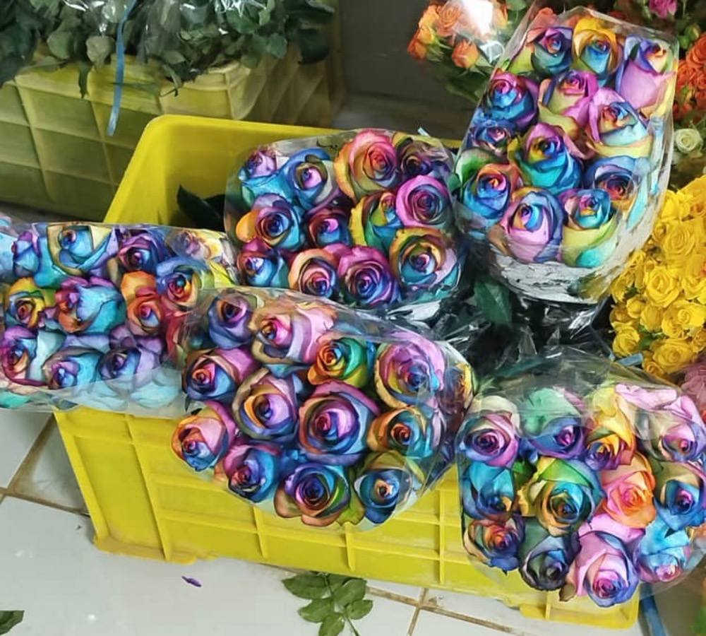 ورد طبيعي من مزارع ايران جاهز للبيع الي يحب يتواصل ويايه


**إذا كنت صاحب هذا الإعلان وتريد حذفه لأي سبب، رجاءا أرسل رسالة إلى الدعم الفني**