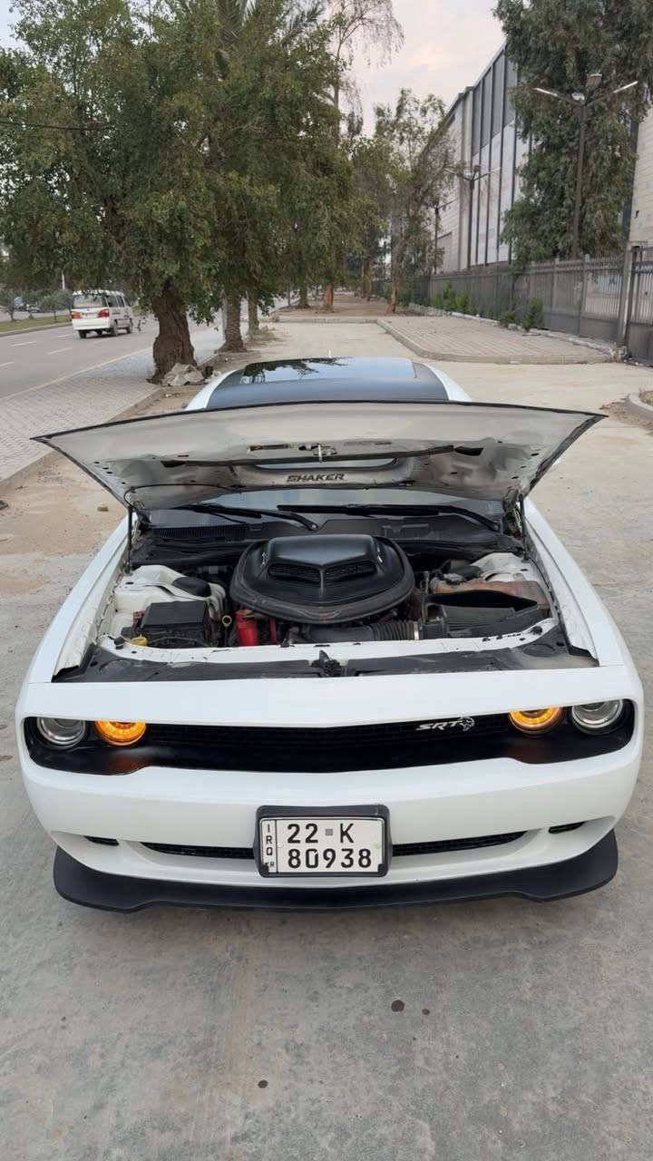 نوع السيارة : دودج جالنجر ( شيكر 5700 ) 2022 🐼


**إذا كنت صاحب هذا الإعلان وتريد حذفه لأي سبب، رجاءا أرسل رسالة إلى الدعم الفني**