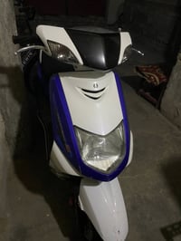 سكنس نثية 140 للبيع او مراوس سكنس فحل 07715073320مكاني بغداد